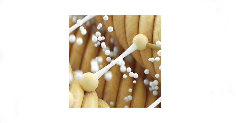 botanical repair professional treatment services