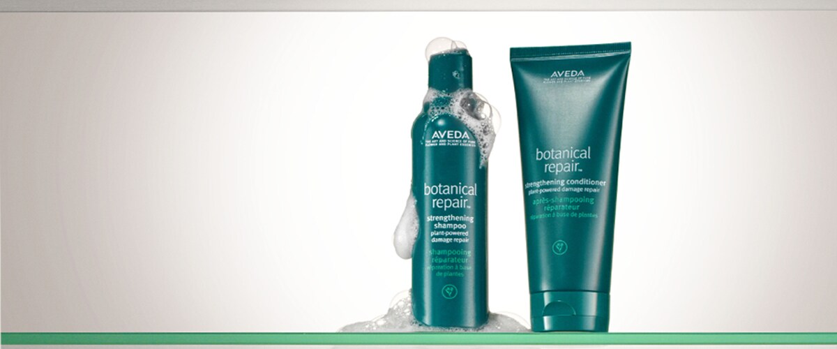 Wir gehen LIVE! Aveda Livestream.