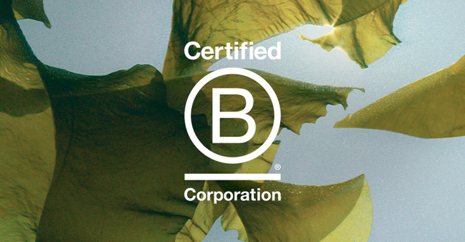 Aveda ist von B Corporation zertifiziert.