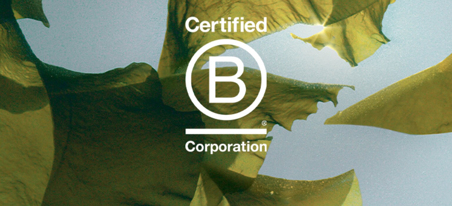 Aveda ist von B Corporation zertifiziert.