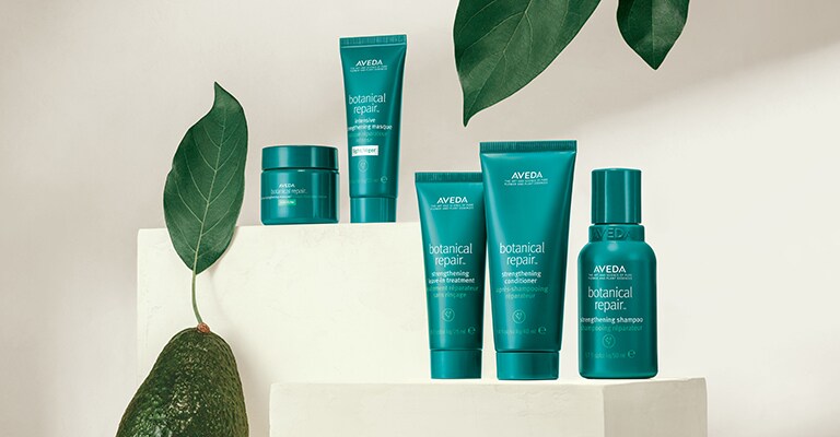 Entdecke unser Botanical Repair Discovery Set.