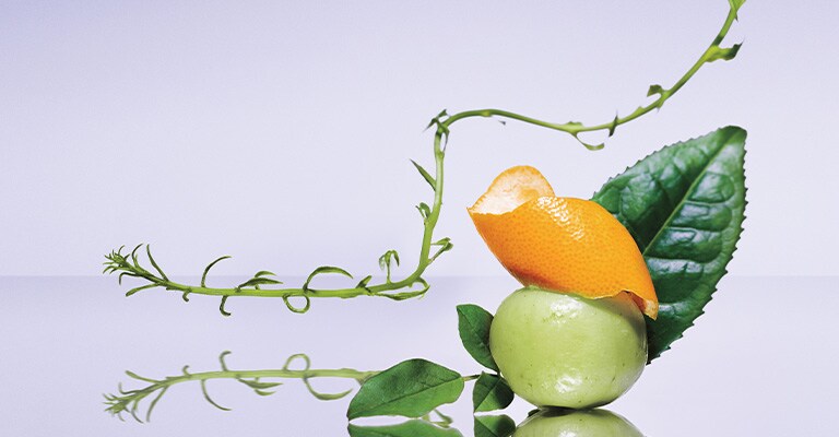 Invati Advanced ist vegan, frei von Silikonen, Parabenen, Mineralöl, Vaseline, Trockenalkohole, Gluten und Aroma