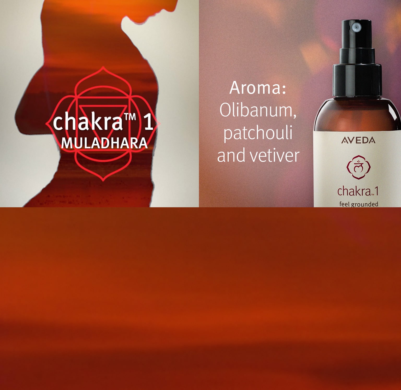 Das Aroma von Chakra 1 umfasst die Aromen von Olibanum, Patchouli und Vetiver.