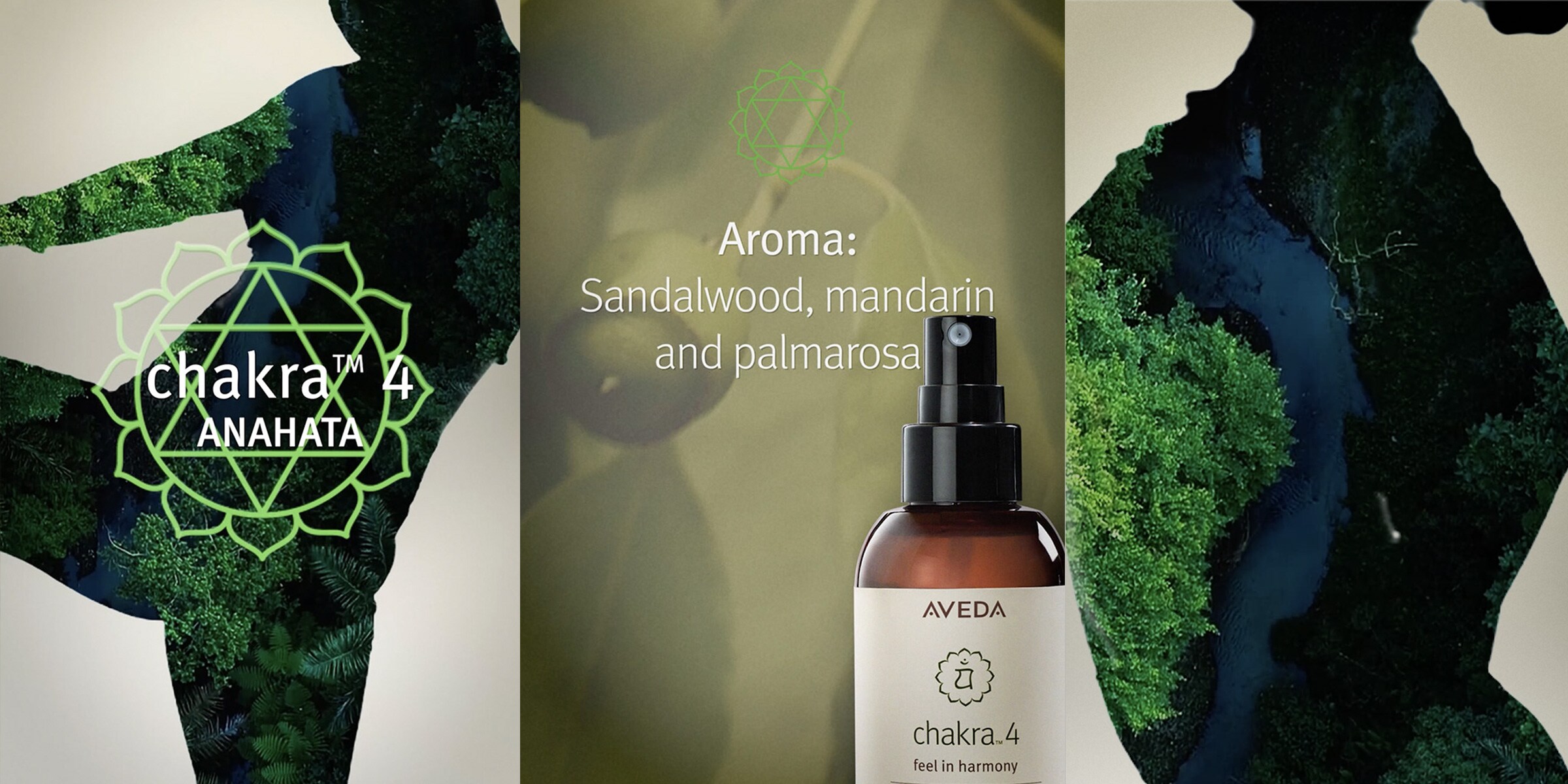 Das Aroma von Chakra 4 umfasst Sandelholz, Mandarine und Palmarosa
