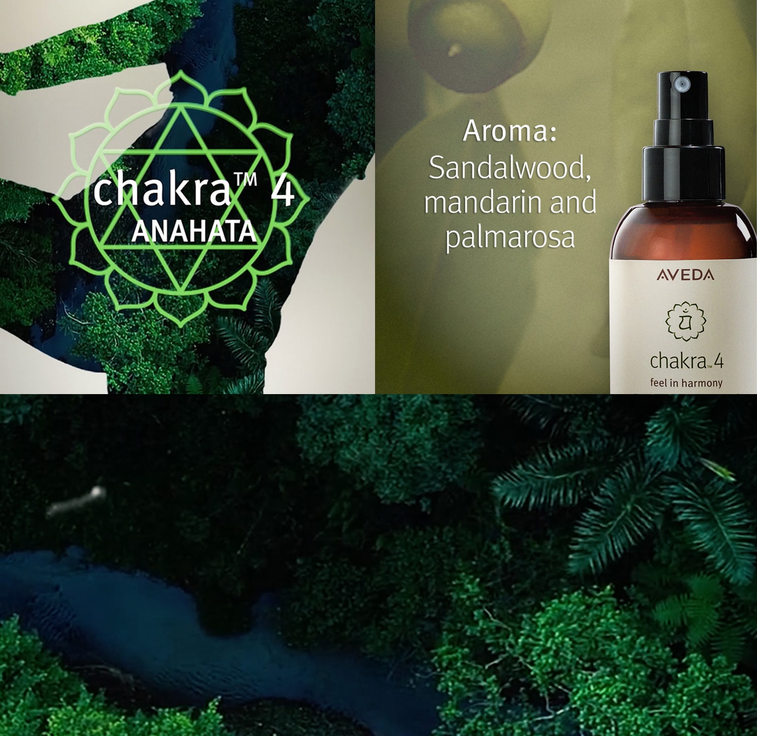 Das Aroma von Chakra 4 umfasst Sandelholz, Mandarine und Palmarosa