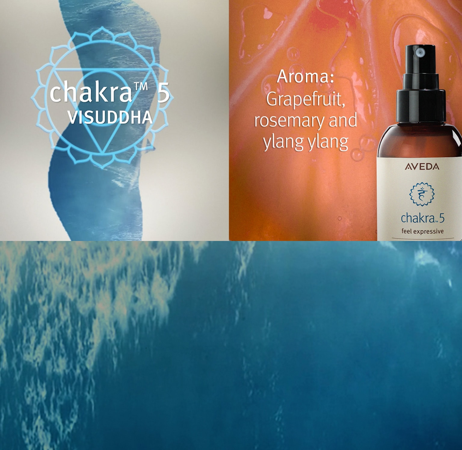 Das Aroma von Chakra 5 umfasst Grapefruit, Rosmarin und Ylang Ylang
