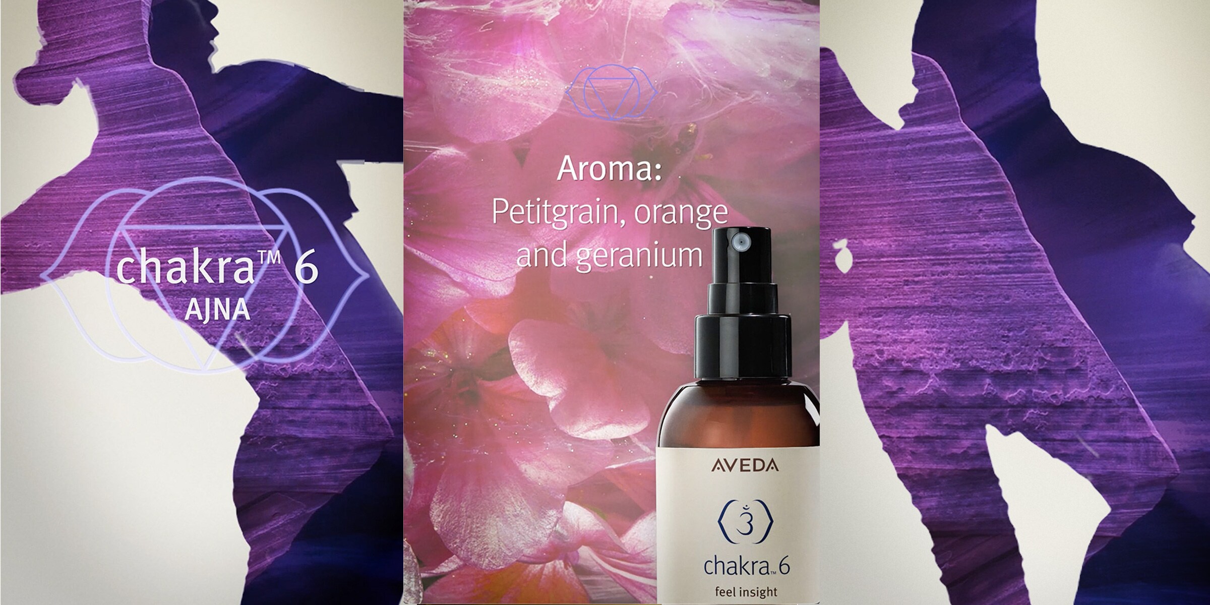 Das Aroma von Chakra 6 beinhaltet Petitgrain, Orange und Geranie