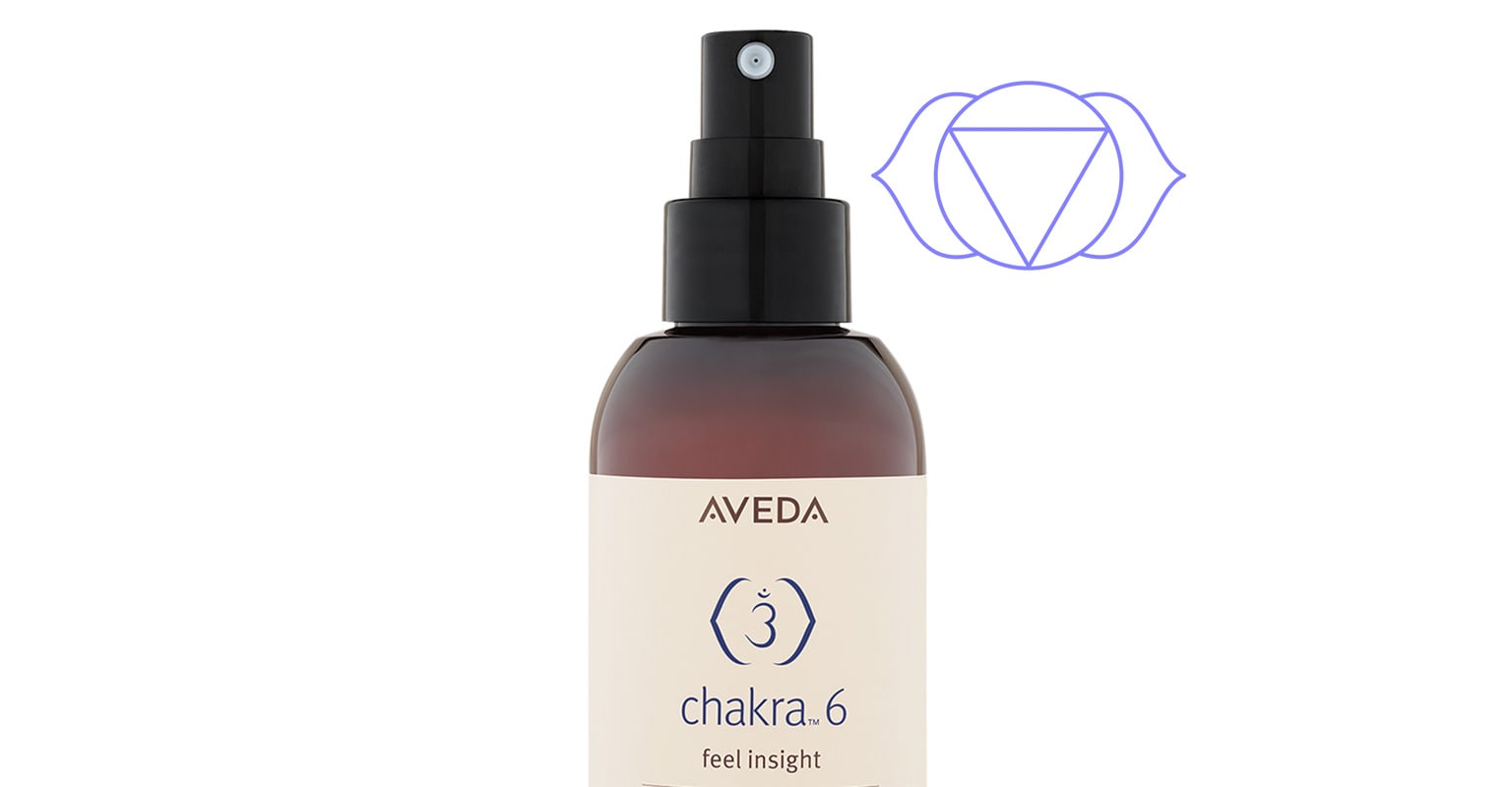 Erfahre mehr über Chakra 6 - das Chakra der Gefühlseinsicht