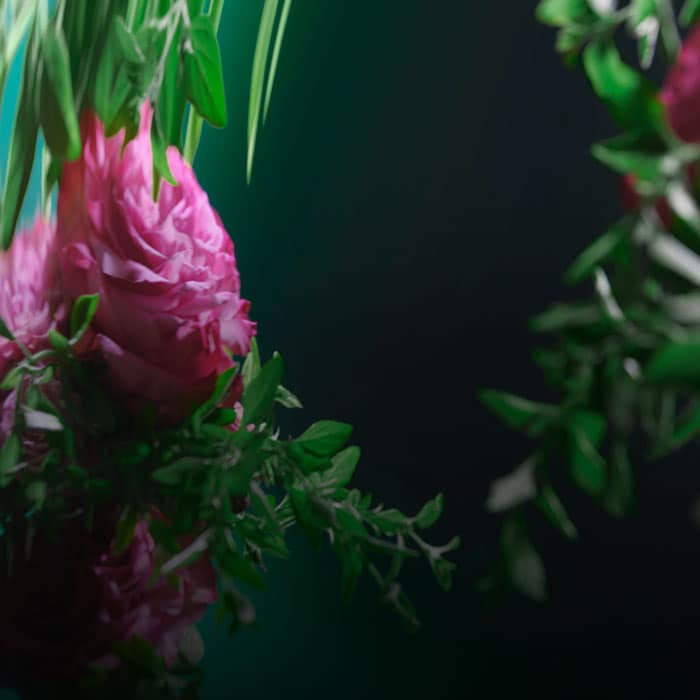 Infuse your hair with Botanical Repair Pure Fume