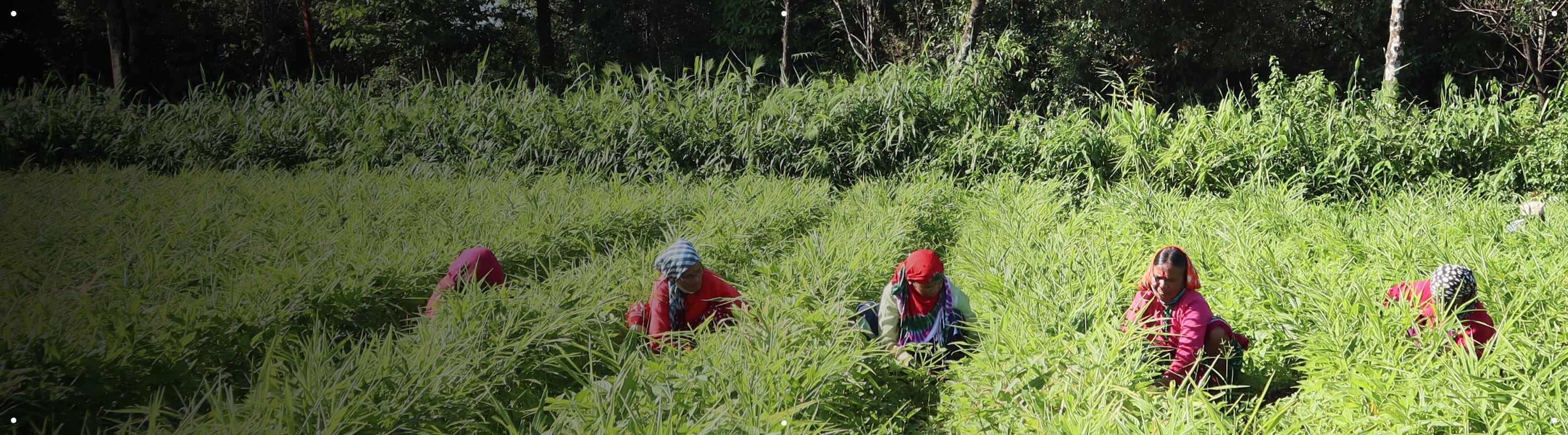 Get the autumn hero set to hydrate your hair