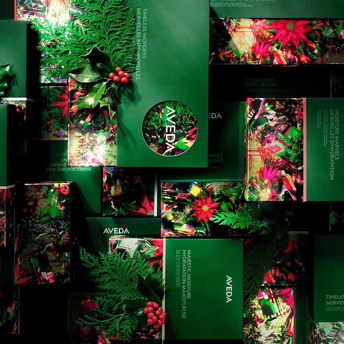 Shop Aveda's scalp solutions