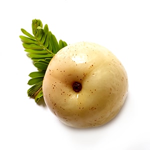 FRUCHTEXTRAKT AUS EMBLICA OFFICINALIS (AMLA)