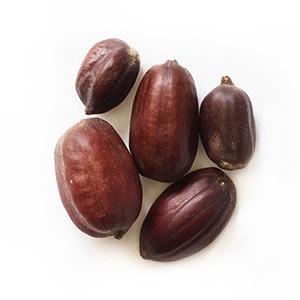 HYDROLYSIERTE JOJOBA-ESTER