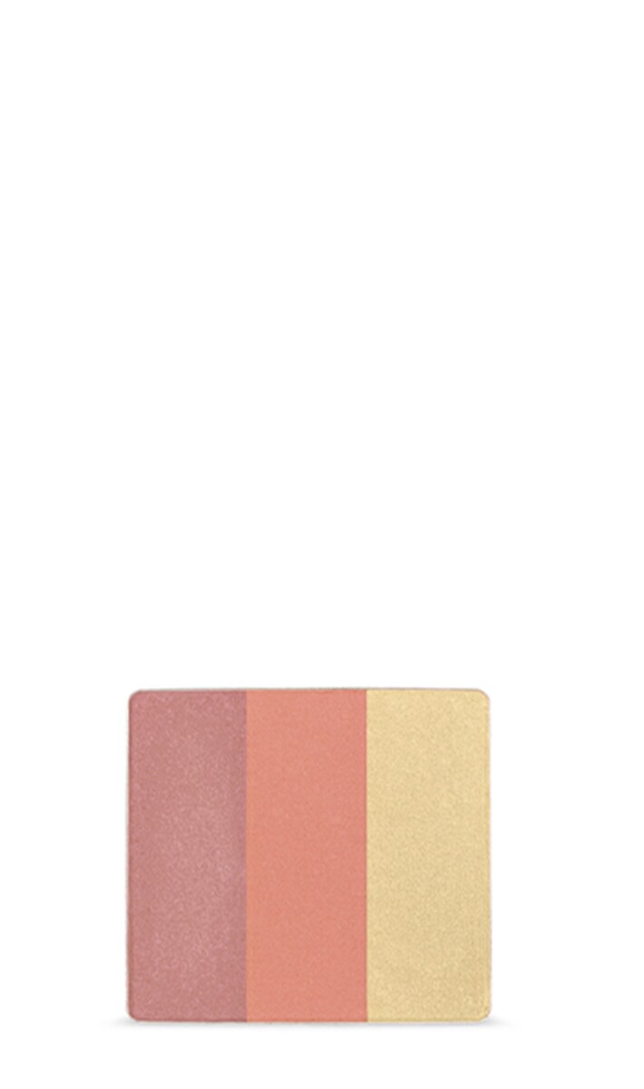 petal essence<span class="trade">&trade;</span> face accents